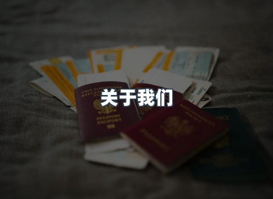 关于我们